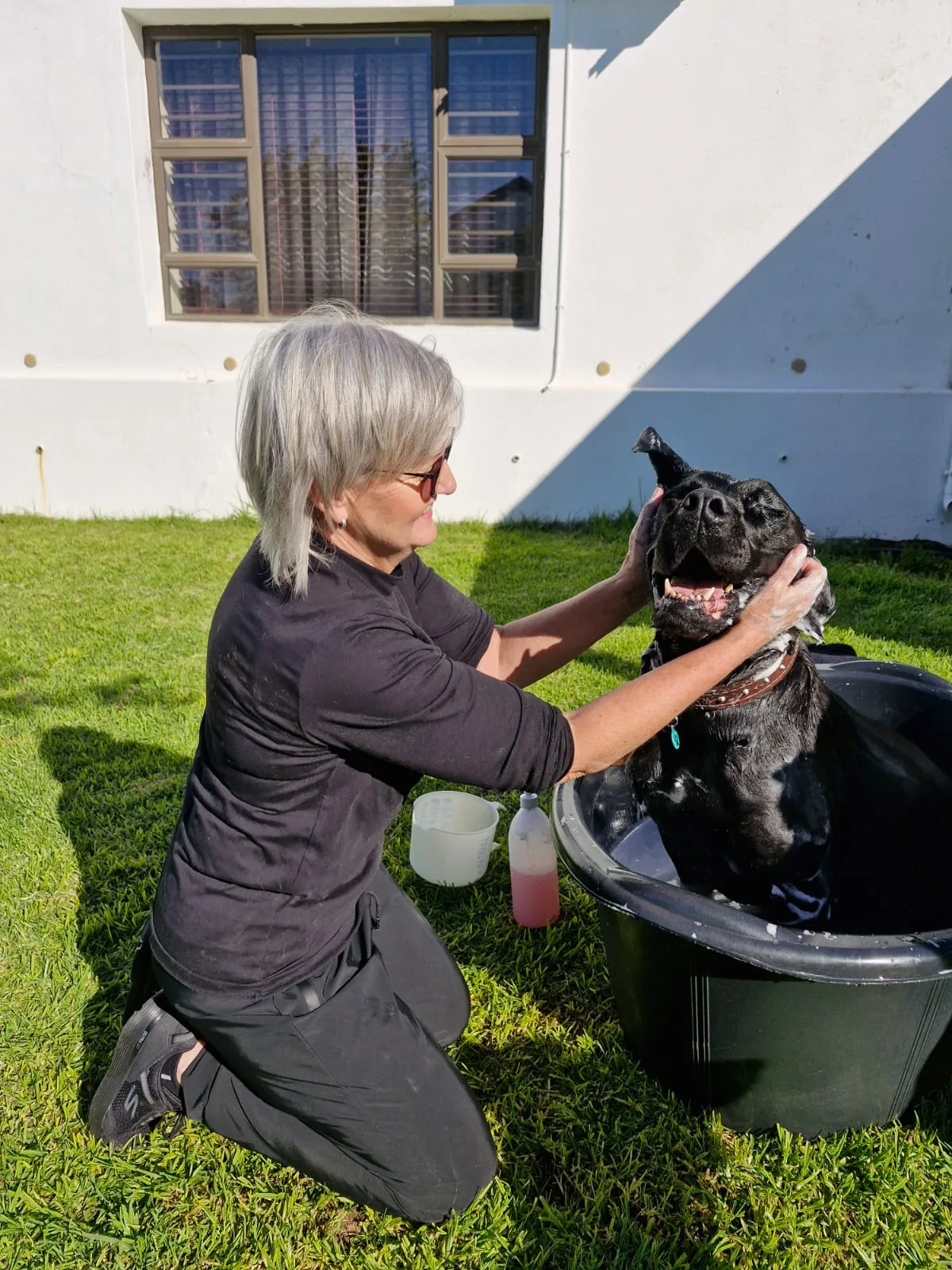 Michelle gently washing a happy dog outdoors at Fairy Dogmother serving Wellington and Paarl.